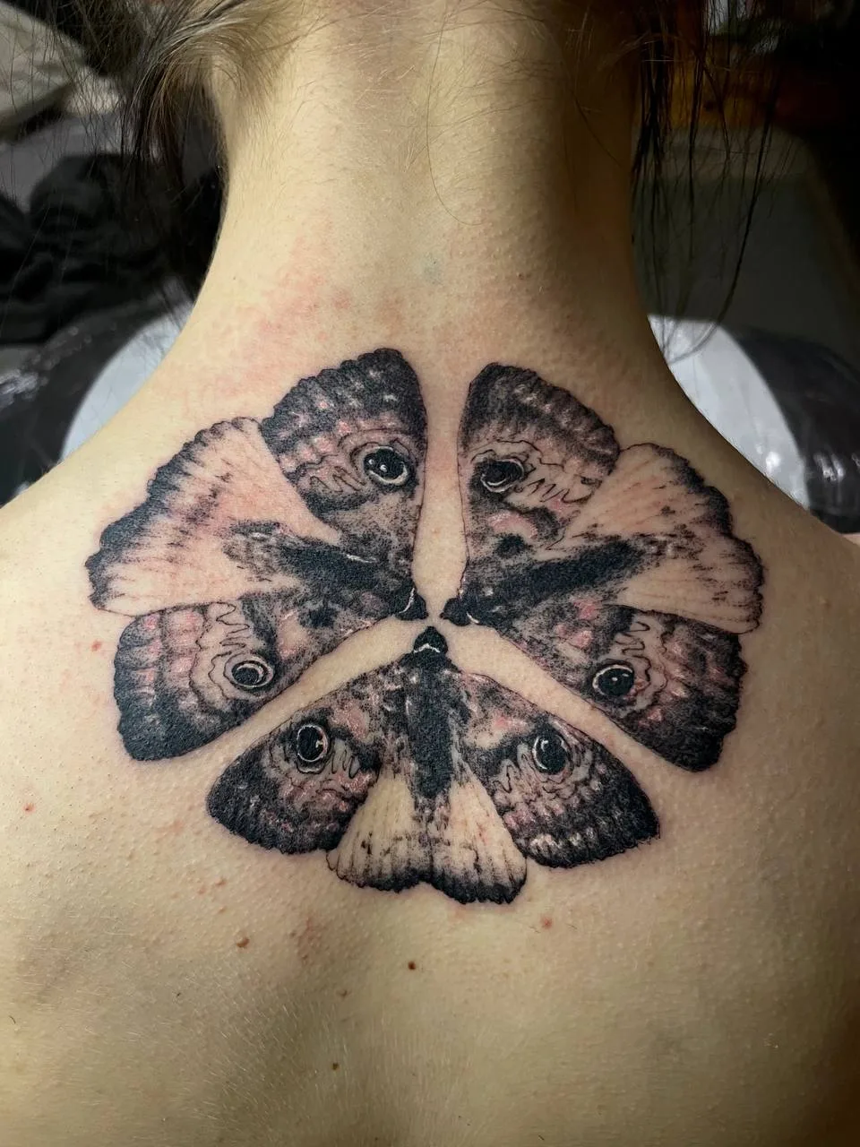 Moth back tattoo
